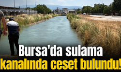 Bursa'da sulama kanalında ceset bulundu!