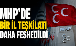 MHP'de Bir İl Teşkilatı Daha feshedildi