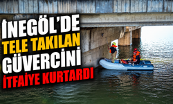 İnegöl’de Tele Takılan Güvercini İtfaiye Kurtardı