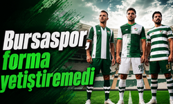 Bursaspor, forma yetiştiremedi