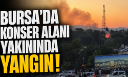 Bursa'da Konser alanı yakınında yangın!