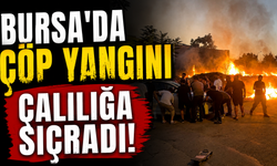 Bursa'da çöp yangını çalılığa sıçradı
