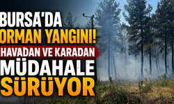 Bursa'da Orman Yangını! Havadan ve Karadan Müdahale Sürüyor