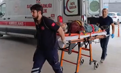 İnegöl'de kiraz toplarken ağaçtan düştü!