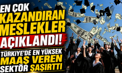 En Çok Kazandıran Meslekler Açıklandı! Türkiye'de En Yüksek Maaş Veren Sektör Şaşırttı