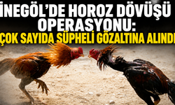İnegöl’de Horoz Dövüşü Operasyonu: Çok Sayıda Şüpheli Gözaltına Alındı