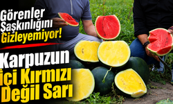 Görenler Şaşkınlığını Gizleyemiyor! Karpuzun İçi Kırmızı Değil Sarı