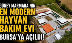 Güney Marmara'nın en modern hayvan bakım evi Bursa'ya açıldı!