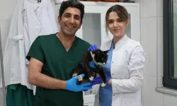 Gürsu Hayvan Bakım Merkezi Can Dostlara Umut Oluyor