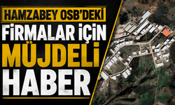 Hamzabey OSB’deki Firmalar İçin Müjdeli Haber