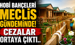 Hobi bahçeleri Meclis gündeminde! Cezalar ortaya çıktı..