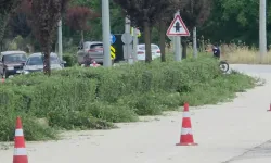 İnegöl Ahmet Türkel Çevre Yolu’nda Görüşü Engelleyen Bitkiler Budandı