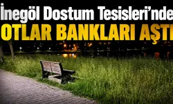 İnegöl Dostum Tesisleri'nde Otlar Bankları Aştı