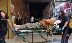 İnegöl’de Erik Toplarken Ağaçtan Düşen Yaşlı Adam Yaralandı