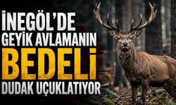 İnegöl'de Geyik Avlamanın bedeli dudak uçuklatıyor