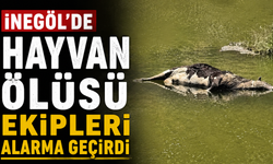 İnegöl'de hayvan ölüsü ekipleri alarma geçirdi