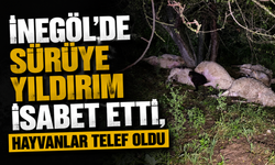 İnegöl'de sürüye yıldırım isabet etti, hayvanlar telef oldu
