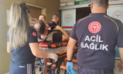 İnegöl’de Üzerine Ağaç Devrilen Kişi Yaralandı