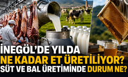 İnegöl’de yılda ne kadar et üretiliyor? Süt ve bal üretiminde durum ne?