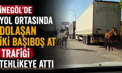 İnegöl’de Yol Ortasında Dolaşan İki Başıboş At Trafiği Tehlikeye Attı