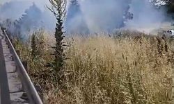 İzmir-Bursa kara yolunda yangın çıktı
