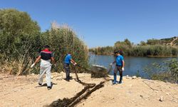 İzmir'de yasa dışı avcılıkla mücadele