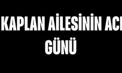 Kaplan Ailesinin Acı Günü