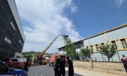 Kereste Fabrikasında Yangın Çıktı