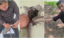 Klimanın Boru Deliğine Giren 1 Metrelik Yılanı Elleriyle Yakaladı