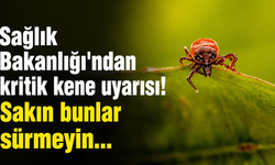 Sağlık Bakanlığı’ndan kritik kene uyarısı! Sakın bunlar sürmeyin...