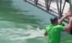 Sulama kanalında can pazarı