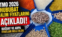 TMO 2026 Hububat Alım Fiyatlarını Açıkladı! Buğday ve Arpa Fiyatları Belli Oldu