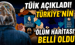 TÜİK açıkladı! Türkiye'nin 'ölüm haritası' belli oldu