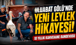 Uluabat Gölü’nde Yeni Leylek Hikayesi! 10 Yıllık Kahvehane Randevusu