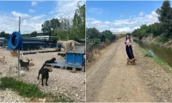 Üniversite Öğrencisinden HEPAD’a Mama Desteği