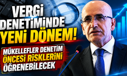 Vergi denetiminde yeni dönem! Mükellefler denetim öncesi risklerini öğrenebilecek
