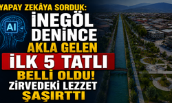 Yapay Zekâya Sorduk: İnegöl Denince Akla Gelen İlk 5 Tatlı Belli Oldu! Zirvedeki Lezzet Şaşırttı