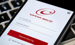 Milyonları ilgilendiren yeni düzenleme! e-Devlet detayı dikkat çekti