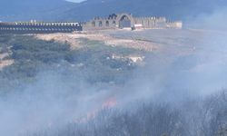 Bursa'da yerleşim alanına yakın bölgede yangın