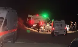 Adana’da 24 saatte 4 ayrı cinayet: 6 kişi hayatını kaybetti