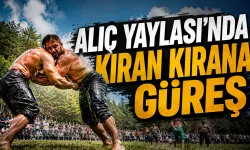 Alıç Yaylası'nda Kıran Kırana Güreş