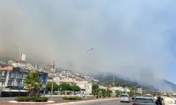 Altınoluk’taki orman yangınında 210 ev tahliye edildi