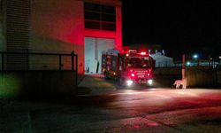 İnegöl’de orman yangını