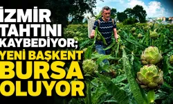 Bursa Enginar Üretiminde Zirveye Yürüyor