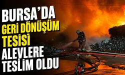 Bursa’da Geri Dönüşüm Tesisi Alevlere Teslim Oldu
