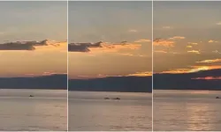 Bursa’da gün doğumunda yunus sürprizi