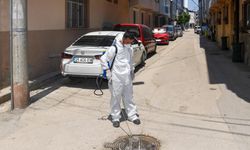 Bursa'da haşereye karşı anında müdahale!
