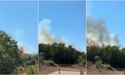 Bursa’da Orman Yangını: Ekipler Alevlere Müdahale Ediyor