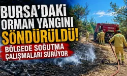 Bursa’daki orman yangını söndürüldü: Bölgede soğutma çalışmaları sürüyor