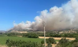 Çanakkale’de orman yangınına havadan ve karadan müdahale